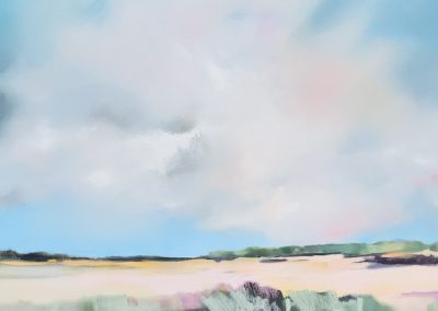 Coastal Dunes