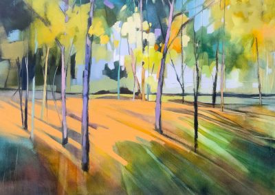 Dappled Light